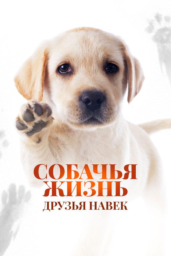 Постер сериала